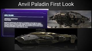 Anvil Paladin Initial Thoughts Star Citizen [upl. by Airal766]