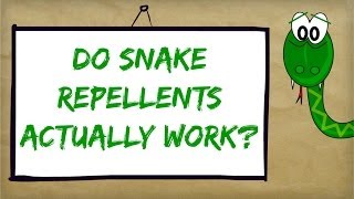 Best Snake Repellent Reviews  Natural Ways to Control and Repel Snakes [upl. by Guthry]