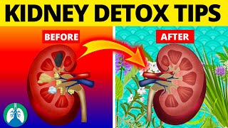 7 Ways to Detox and Cleanse Your Kidneys Naturally [upl. by Gerstein]