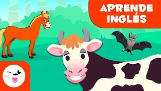 Animales vertebrados Mamíferos en inglés  Ciencias para niños [upl. by Ocirederf]