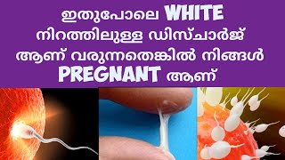 Early Pregnancy Di scharge  Deechus world Malayalam [upl. by Malda]