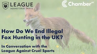 Closing the Loopholes The Fight to End Illegal Fox Hunting in the UK [upl. by Haimrej229]