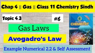 Avogadros Law  Example 22  Chap 4  Class 11 Chemistry Sindh board [upl. by Nawad498]