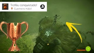 Troféu Guerreiro Hábil  SHADOW OF THE COLOSSUS PS4 [upl. by Kauslick]