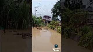 BANJIR DI MEDAN  SHORT [upl. by Hound929]