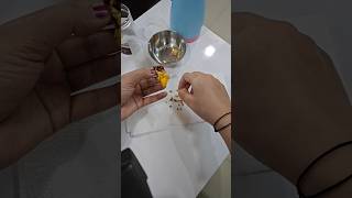 paper towel method yellow capsicum seeds germination 🌱 [upl. by Eliam]