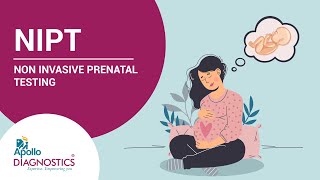 Understanding NonInvasive Prenatal Testing NIPT  Prenatal Diagnosis amp Screening [upl. by Docile]