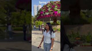 Flower festival 😍 korea shorts trending viral asmr [upl. by Enelegna]