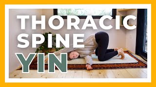 30min Yin Yoga for Thoracic Spine Shoulders amp Upper Back  Long Holds amp Deep Stretches [upl. by Bobina906]