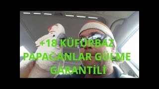 18 KÜFÜRBAZ PAPAĞANLAR KÜFÜRLER İNGİLİZCE  GÜLME GARANTİLİ [upl. by Navada]