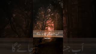 Jannat Mi Chala Janga  Saqib Raza Mustafai video shorst islamicfigure [upl. by Quintana194]