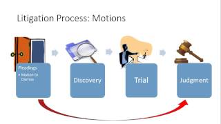 A Primer on the Litigation Process [upl. by Ahsitra32]