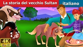 La storia del vecchio Sultan  Old Sultan in Italian  Favole Per Bambini  Fiabe Italiane [upl. by Ahsennek]