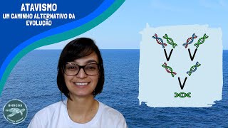 Atavismo um caminho alternativo da evolução  Biologia Marinha em Revista 56 [upl. by Adnolehs]