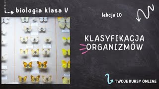 Biologia klasa 5 Lekcja 10  Klasyfikacja organizmów [upl. by Sidwell]