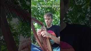 Drop of Nelsons Blood on Small Harp harp smallharp seashanty [upl. by Leakcim378]