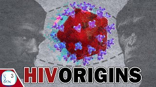 The REAL Origins amp Evolution of HIV [upl. by Atsira]