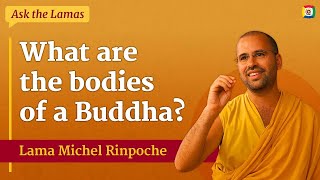 What are the bodies of a Buddha with Lama Michel Rinpoche [upl. by Etak]