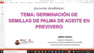 GERMINACIÓN DE SEMILLAS DE PALMA DE ACEITE EN PREVIVERO [upl. by Tega]