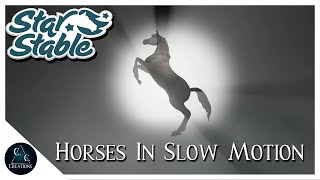 Star Stable Online Horses In Slow Motion [upl. by Polish171]