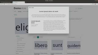 Modal  Shopware 6 Plugin [upl. by Old]