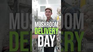 Delivery Day on our Mushroom Farm  GroCycle shorts [upl. by Kceb939]