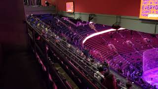 Scotiabank Arena Toronto Maple Leafs  View From Standing Room SRO Section 321 1924 vs Sharks [upl. by Wonacott388]