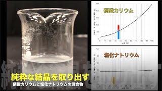 純粋な結晶を取り出す 硝酸カリウムと塩化ナトリウムの混合物 [upl. by Ahsilrak]