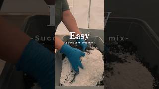 Succulent soil mix for beginners succulentsforbeginners succulentsoilmix propagation succulents [upl. by Ranie]