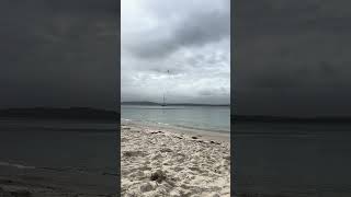 Cool day at Dutchies Beach 🏖️ and its white sands hightide beach shorts portstephens [upl. by Yousuf]