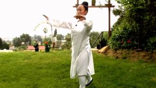 Wudang Five Animal Qi Gong Tiger 武當五行氣功（虎） [upl. by Nibla127]