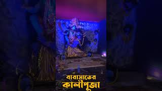 বারাসাতের কালীপূজা  Thakte Dish Re Maa [upl. by Onailimixam901]