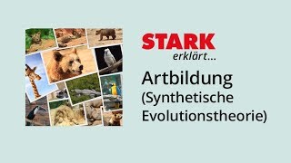 Artbildung nach der Synthetischen Evolutionstheorie  STARK erklärt [upl. by Sheley389]