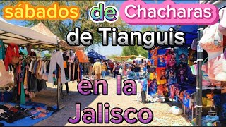 Tianguis de la Colonia Jalisco 🇲🇽 2024  como llegar  tianguis de Chacharas  Ropa de paca  tenis [upl. by Chappy]