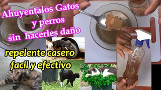 Cómo Ahuyentar Gatos y perros De Tu Jardín Huerto Casa carro FÁCIL ECONÓMICO y SIN LASTIMARLOS [upl. by Gilbertina544]