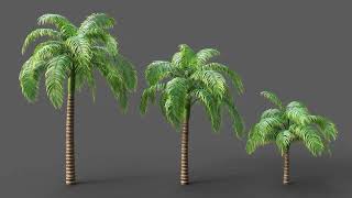 3d models of palm amp wind animation in GrowFX  3DS Max [upl. by Esertal]