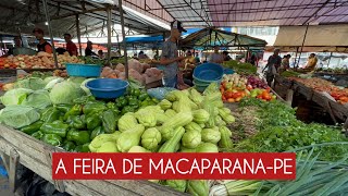 FEIRA DE MACAPARANA [upl. by Aihseit]