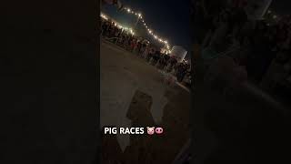 PIG RACES WOOOOOO 👹✨ [upl. by Naicul]