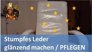 Stumpfes Leder glänzend machen  PFLEGEN [upl. by Ledairam]