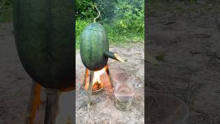 Survival Skills SIMPLE and USEFUL with steam bad water in watermelon bushcraft camping outdoors [upl. by Dlanod]