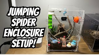 Jumping Spider Enclosure Setup  Blossoms Enclosure  Spooderpods [upl. by Enaek216]