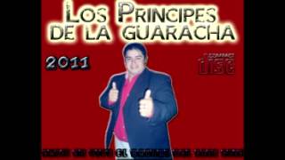 Los Principes De La Guaracha en vivo el bagual del loco luis 2011 3 [upl. by Cchaddie]