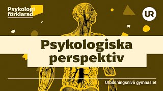 Psykologiska perspektiv förklarade  PSYKOLOGI  Gymnasienivå [upl. by Nyraa]