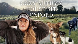 Cozy Autumn House Sitting Vlog in Oxford  Shelly Coco [upl. by Ordnagela455]