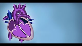 Fetal Circulation by L McCabe  OPENPediatrics [upl. by Balliett]