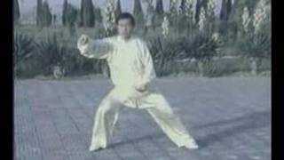 Taiji  Chen Style [upl. by Charlot]