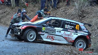 WRC Rallye Monte Carlo 2024  Action amp Mistakes  ADRacing [upl. by Anirahs250]