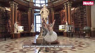 Was lesen 48 Schwäne in der Nationalbibliothek [upl. by Lian512]