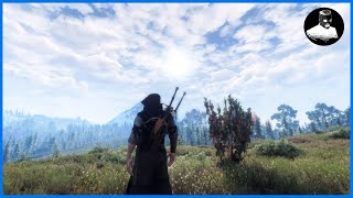 The Witcher 3  Mods  SMOOTH COMBAT [upl. by Haziza255]