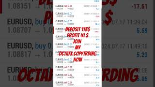 octafx copy trading octafx copytrading forex forextrading ea algotradingsoftware trading [upl. by Festatus]